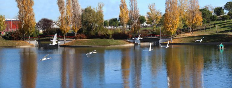 Tres Cantos ciudad verde y sostenible