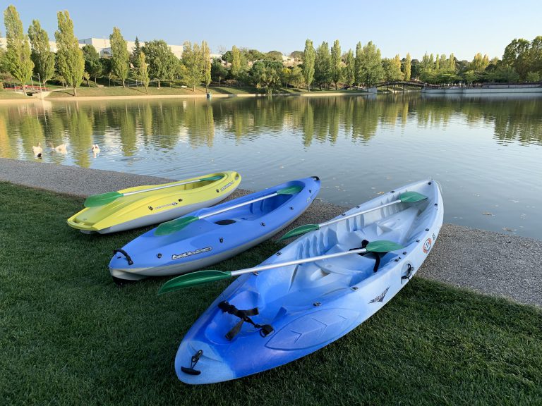 El Parque Central ofrece paseos gratuitos en barca