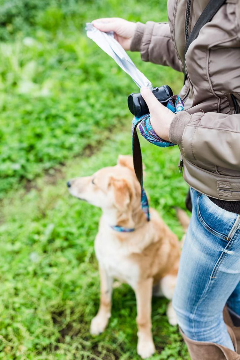 Multas de 525 euros por no recoger los excrementos caninos