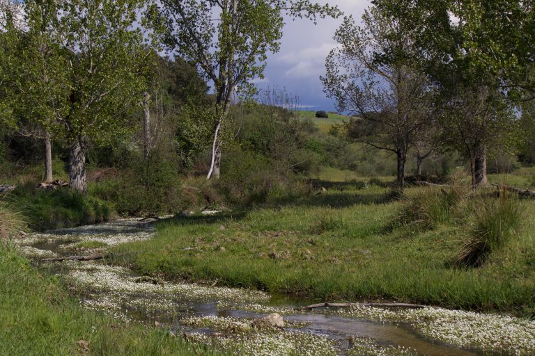 Valdeloshielos: Enclave natural en Tres Cantos