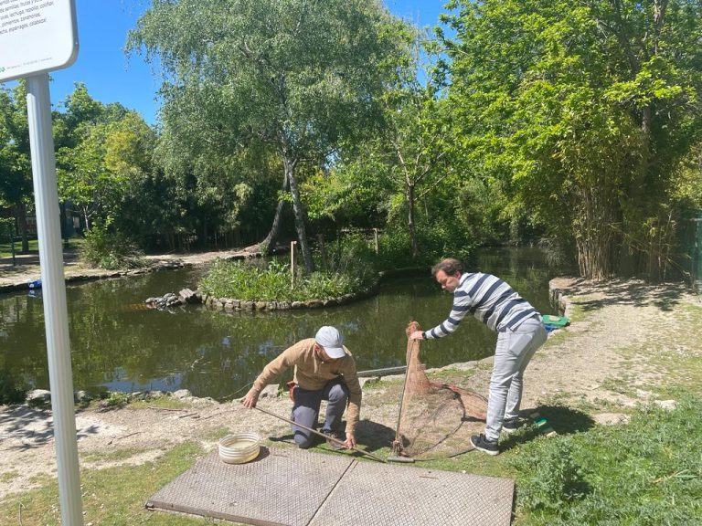 Activado el plan para el control de plagas y fauna urbana
