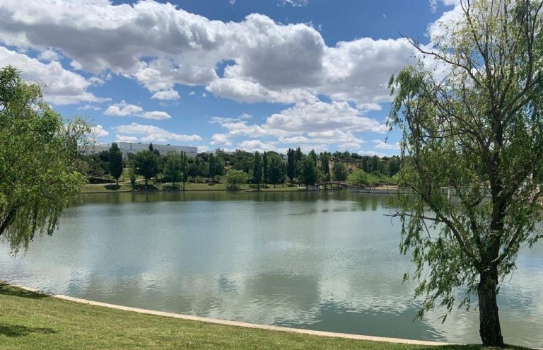 Más Madrid, Ganemos, Podemos, Izquierda Unida y Verdes Equo acudirán en coalición a las elecciones