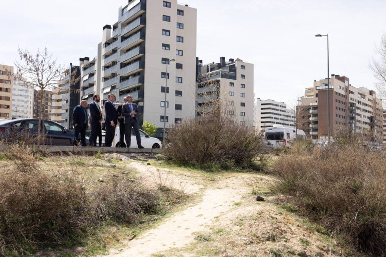 colegio público de tres cantos