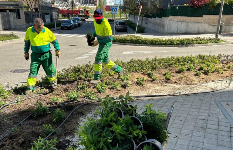 campaña de plantación en Tres Cantos