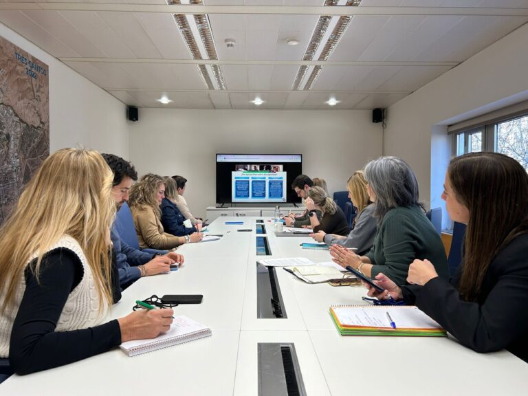 Plan Municipal de Discapacidad