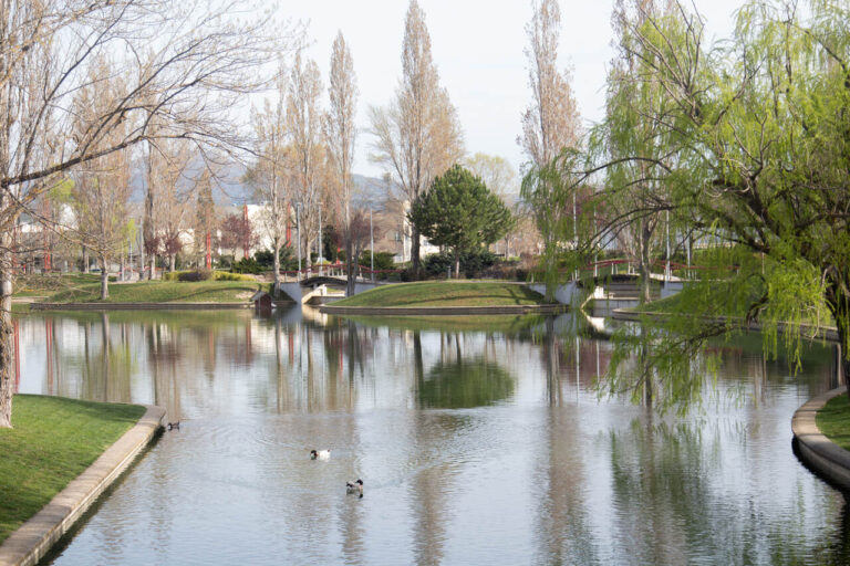 ciudad arbórea del mundo