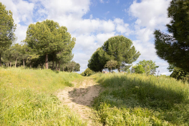 tres cantos es verde