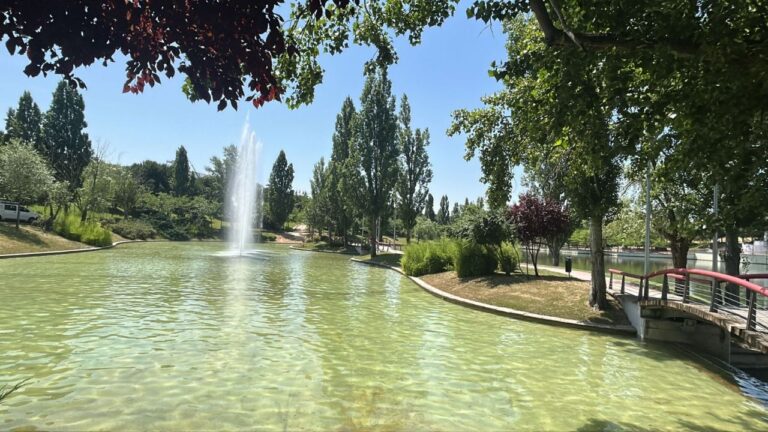 Operarios realizando la limpieza del estanque del Sector Islas