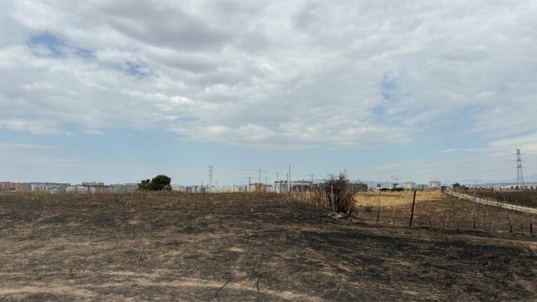 Terreno calcinado tras el incendio, zona vinculada a la nueva oficina de atención.