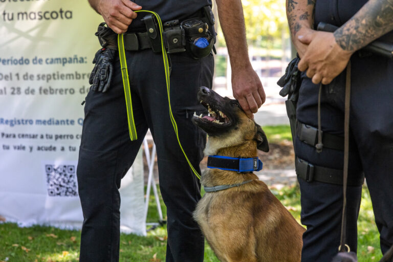 ADN Canino