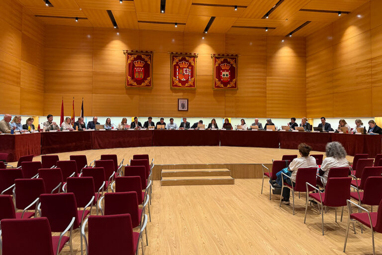 Pleno cementerio