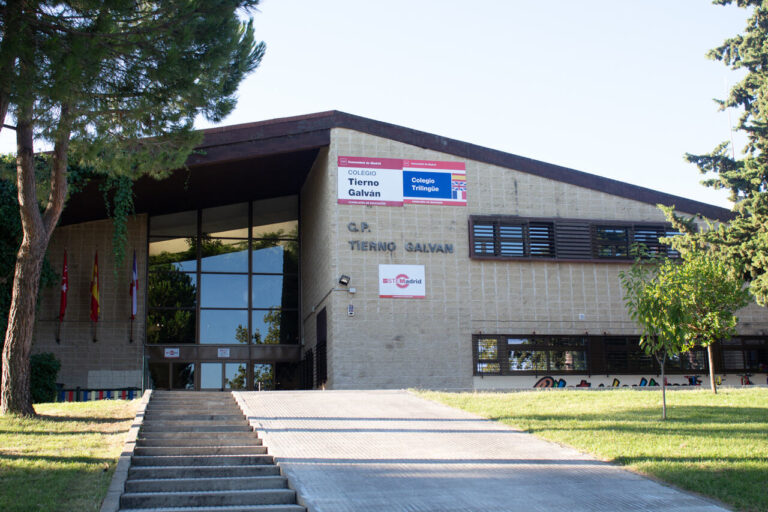 Proceso de escolarización